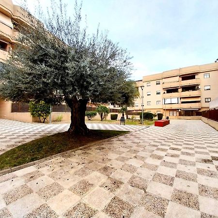 Top Suite Apartment Jerez Jardin Y Patio Jerez de la Frontera Dış mekan fotoğraf