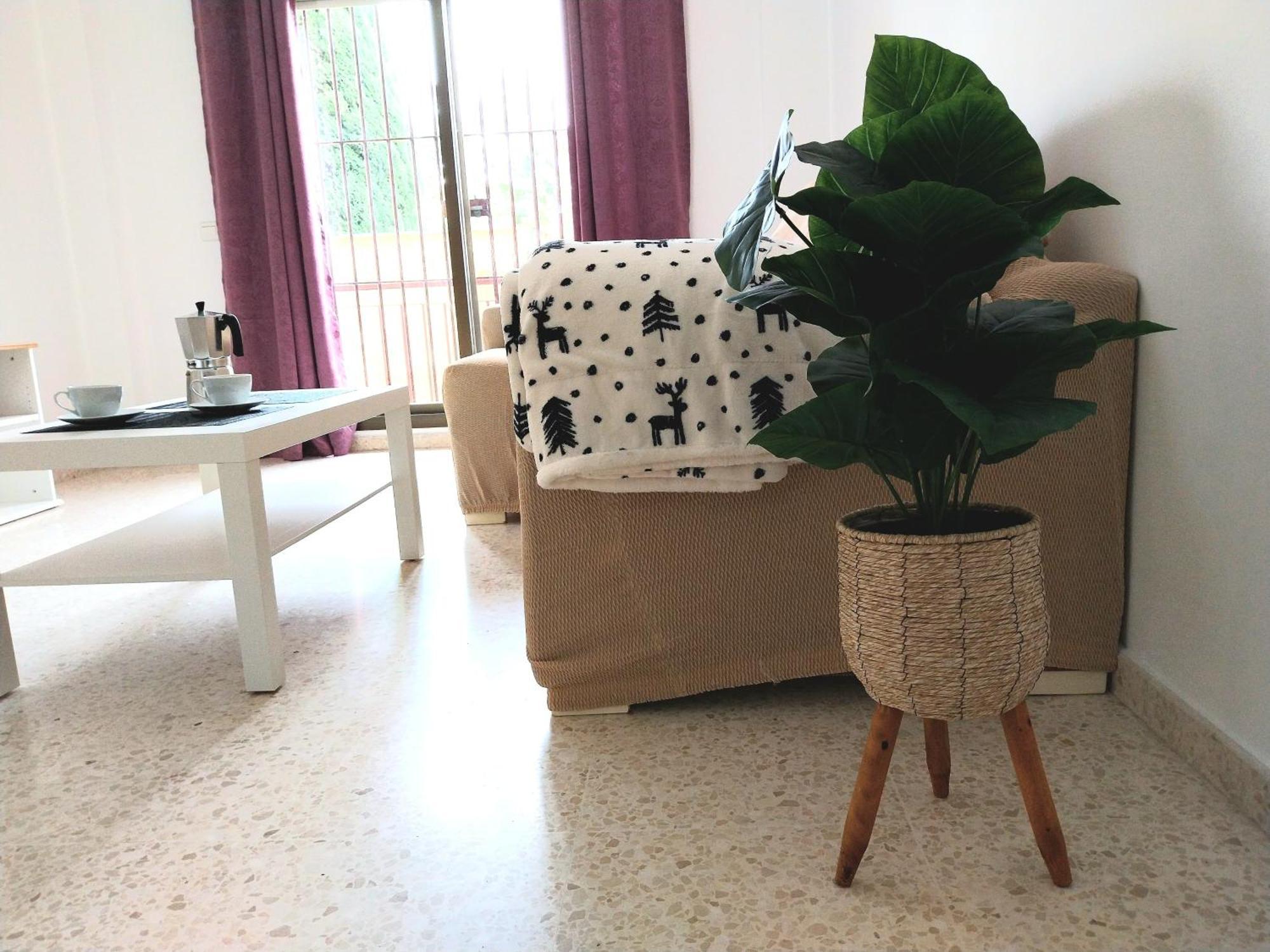 Top Suite Apartment Jerez Jardin Y Patio Jerez de la Frontera Dış mekan fotoğraf